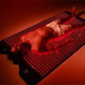 Full-Body PEMF Therapy Mat – Elite Series
